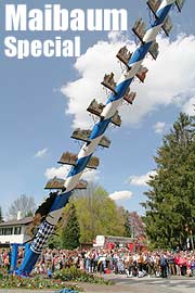 Maibaum Special“ - schon über 40 Maibaum Termine für 2009 (Foto: MartiN Schmitz)